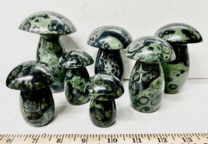 Kambaba Jasper Mushroom