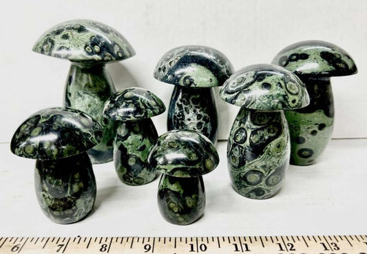 Kambaba Jasper Mushroom