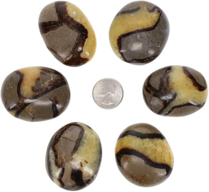 TruEnergy Septarian Palm Stone - 2"