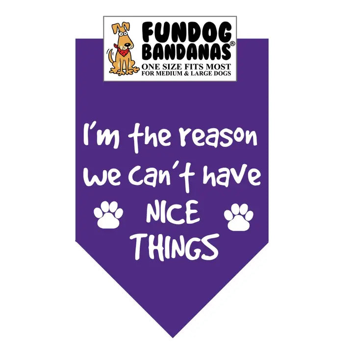 FunDog Bandanas I'm The Reason We Don't Have Nice Things Dog Bandana - Assorted Colors