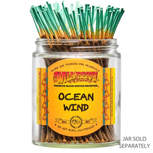 Ocean Wind Wild Berry Mini Incense Sticks