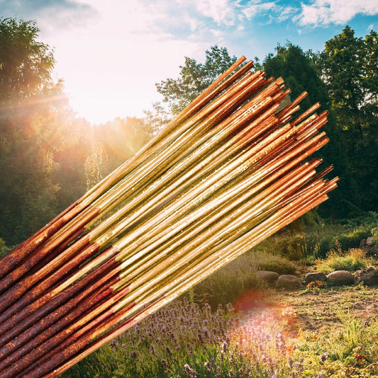 Sunshine Wild Berry Incense Sticks